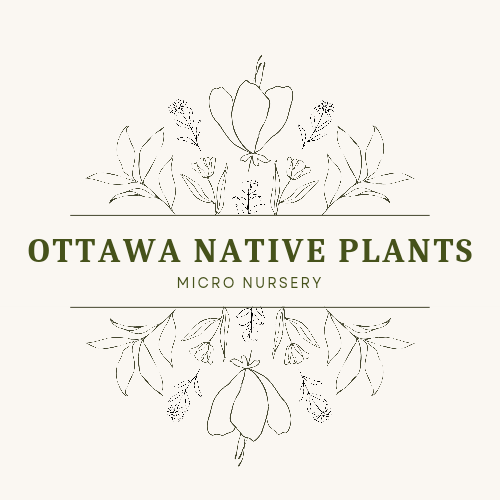 Ottawa Native Plants