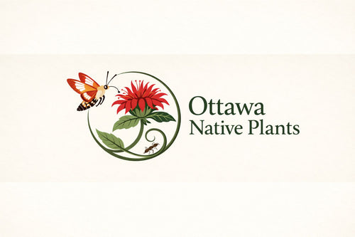 Ottawa Native Plants